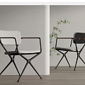 Modern Leisure Chairs In White Dark Design With Metal Frame Wooden Armrests And Green Plant