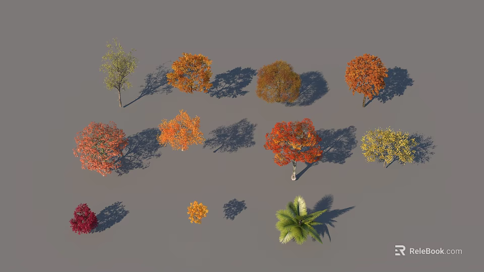 Various Colored Autumn Trees With Different Species Foliage And Natural Shadows 3d model 