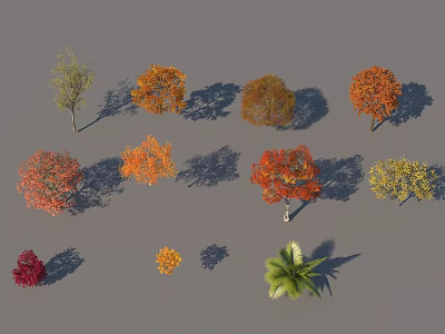 Various Colored Autumn Trees With Different Species Foliage And Natural Shadows 3d model