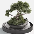 Bonsai Tree With Curved Trunk Lush Green Foliage And Round Waterfall Base
