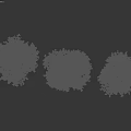 Six Varieties Of Green Leafy Trees With Different Foliage Shapes Isolated On Black