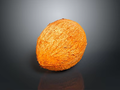 Fresh Orange Coconut With Fibrous Surface On Dark Background Showing Reflection 3d model