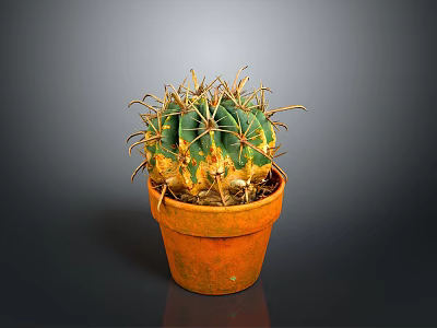 Green and Yellow Cactus Plant in Orange Clay Pot with Sharp Thorns 3d model