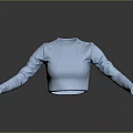 Fashionable Light Blue Long Sleeve Cropped Top for Daily Casual Wear