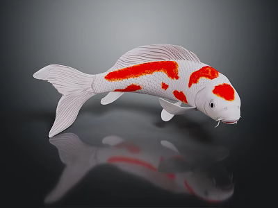 White Body Koi Fish With Red Spots Swimming In Dark Background With Reflection 3d model