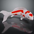 Modern Fish Freshwater Fish Koi Goldfish 3d model