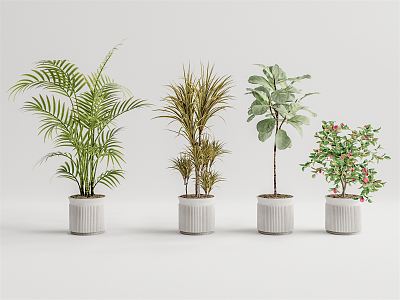 Modern potted plant potted landscape tree model