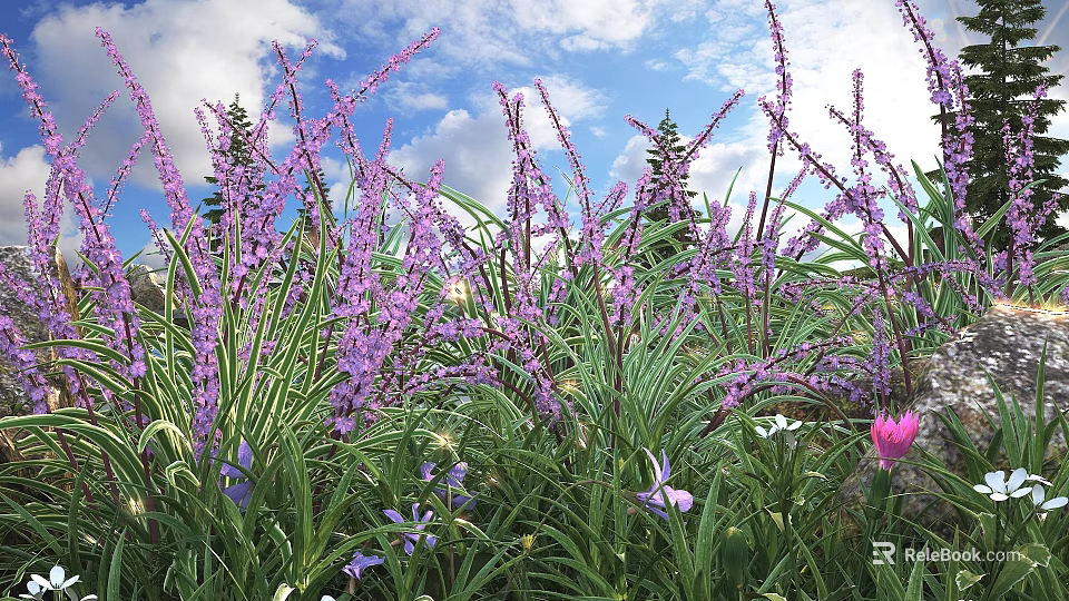 Purple Flowers Blooming in Garden with Green Leaves Under Blue Sky and White Clouds 3d model 