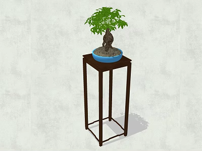 Bonsai Plant in Blue Ceramic Pot on Dark Wooden Stand with Light Textured Wall Background 3d model