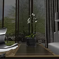 White Sofa Wooden Glass Coffee Table Set With Orchid Plant Floor Lamp Curtains And Green View