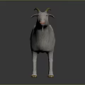White Horned Goat Standing on Dark Reflective Surface Against Gradient Gray Background 3d model