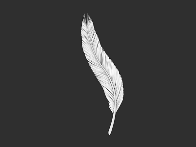White Feather Illustration Of A Flying Bird On Black Background With Fine Details 3d model