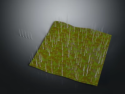 Green Square Grassland With Dense White Tall Stems And Vegetation 3d model