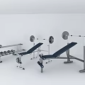 Essential Home Gym Fitness Equipment With Barbells Dumbbells And Weight Bench