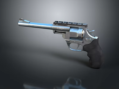 Silver Metal Revolver With Black Grip And Cylinder Close Up Design View 3d model