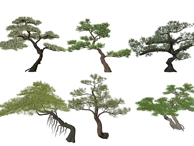 Diverse Form Arbor Trees Featuring Curved Trunks Lush Foliage And Unique Shapes 3d model