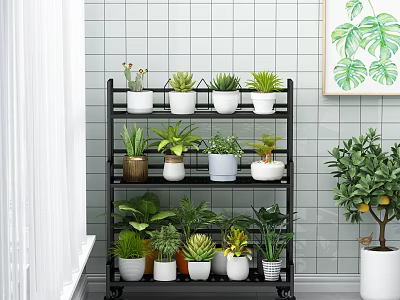 Elegant Garden Decor With Black Multi Tiered Plant Shelf Potted Plants And Green Plant Painting 3d model