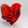 Red Heart Shaped Rose Flower in Stylish Vase for Living Room Decoration