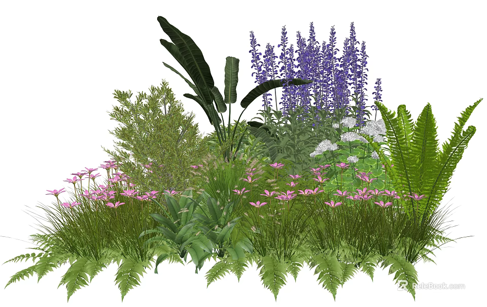 Garden Plant Combination with Purple Flowers Pink Blooms Ferns and Large Leaves 3d model 