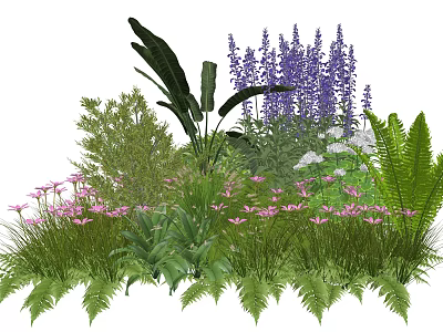 Garden Plant Combination with Purple Flowers Pink Blooms Ferns and Large Leaves 3d model
