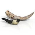 Natural Animal Horns Displaying Curved Shape Light And Dark Colors And Unique Textures