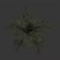 Isolated Tree With Brown Trunk And Green Leaves Against Gray Gradient Background