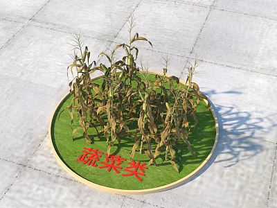 Vegetable Display Featuring Corn Plants on Circular Green Mat and Category Sign 3d model