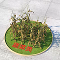 Vegetable Display Featuring Corn Plants on Circular Green Mat and Category Sign
