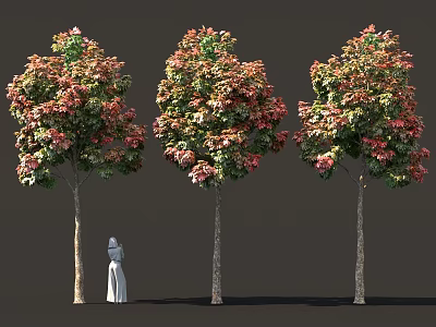 Three Arbor Trees with Vibrant Red Green Leaves and Slender Trunks by White Silhouette 3d model