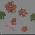 Red Oak Arbor With Green And Red Foliage In Landscape Plant Design