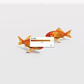 Two Small Orange Goldfish Swimming Gracefully in Aquarium Against White Background