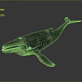 Highly Realistic Detailed 3D Rendered Whale Model on Smooth Gray Background 3d model