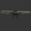Close Up View Of Dragonfly With White Wings Black Body And Yellow Red Head