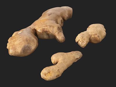 Modern Ginger 3d model Modern Ginger 3d model