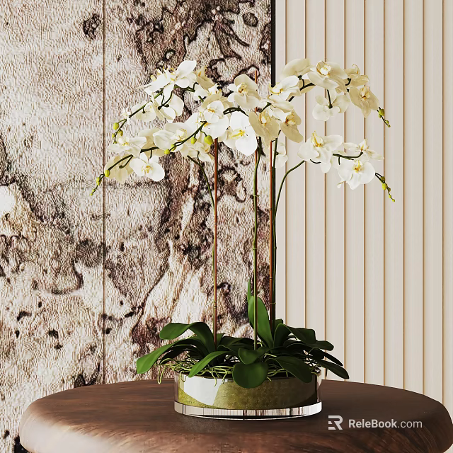 Elegant Potted White Orchid Plant with Green Leaves on Natural Wooden Texture Background 3d model 