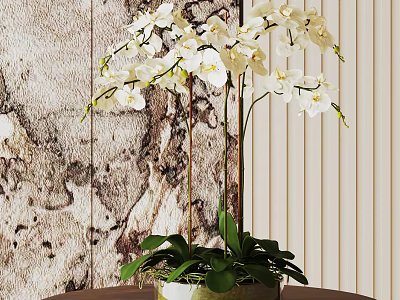 Elegant Potted White Orchid Plant with Green Leaves on Natural Wooden Texture Background 3d model