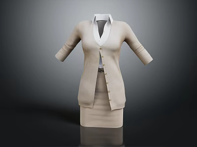 Beige Cardigan With White Shirt And Beige Skirt Professional Office Outfit Design 3d model