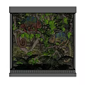 Two Colorful Chameleons In Natural Terrarium With Green Leaves And Branches