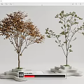 Modern Tree Landscape Tree 3d model