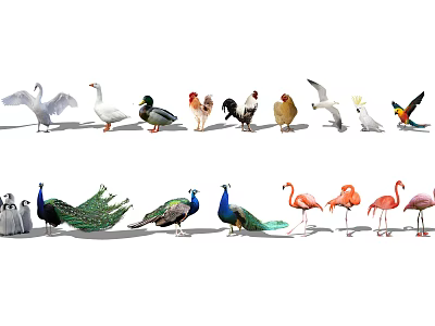 Diverse Collection of Flying Animals Featuring Swans Ducks Peacocks Flamingos and Parrots 3d model