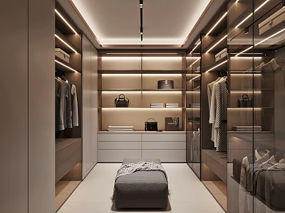 Modern Walk in Closet Interior With Built in Cabinets Hanging Rods LED Lighting And Mirrored Panels 3d model