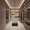 Modern Walk in Closet Interior With Built in Cabinets Hanging Rods LED Lighting And Mirrored Panels
