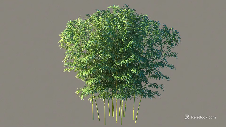 Lush Bamboo Arbor With Dense Green Leaves And Tall Stems 3d model 