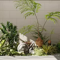 Lush Indoor Green Plants Interior With Ferns Stone And Various Foliage
