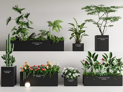 Modern Bonsai and Potted Plants with Various Greenery and Flowering Species in Black Planters 3d model