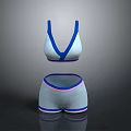 Comfortable Women's Sports Bra And Shorts Set With Blue Trim And Pink Accents