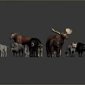 Various Wild Animals With Moose Bear Wolf Pig Fox And Smaller Creatures 3d model