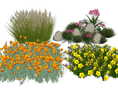Colorful Diverse Garden Flowers Featuring Orange Yellow Purple Blooms And Grasses 3d model