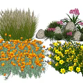Colorful Diverse Garden Flowers Featuring Orange Yellow Purple Blooms And Grasses