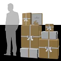 Elegant CARINA Lifestyle Gift Boxes with Gold White Design Ribbons and Person Silhouette